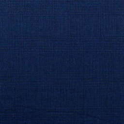 [353128] BLUE, BLACK CHECKS