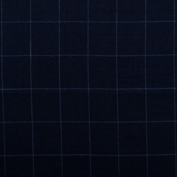 [353132] DARK BLUE, BLUE CHECKS