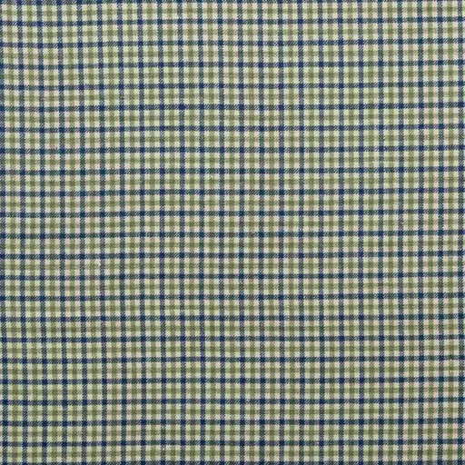 [353135] GREEN & BLUE SMALL CHECKS