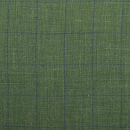 [353137] GREEN, BLUE CHECKS
