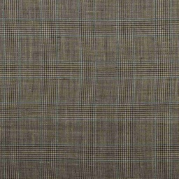 [353142] BROWN, BLUE CHECKS