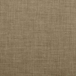 [353146] BROWN, PLAIN