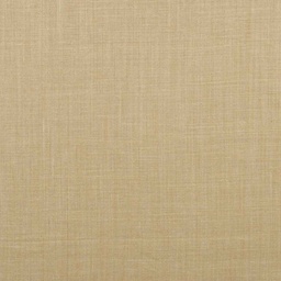 [353148] BEIGE, PLAIN