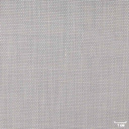 [353201] LIGHT GREY, PLAIN