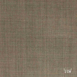 [353219] BROWN, PLAIN