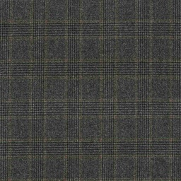 [353322] GERY, BROWN CHECKS
