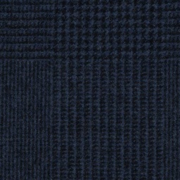 [319004] BLUE, CHECKS (DR# 70104)