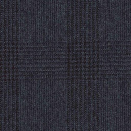 [319010] BLUE, CHECKS (DR# 70110)
