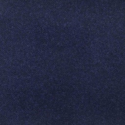 [319038] BLUE, PLAIN (DR# 70138)