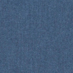 [319055] BLUE, PLAIN (DR# 70155)
