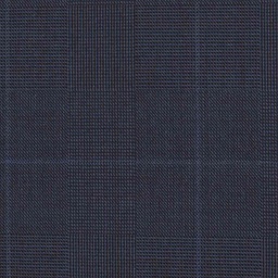 [319120] BLUE, BLUE CHECKS (DR# 61020)