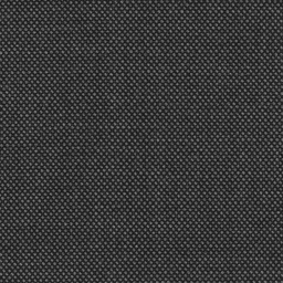 [319130] GREY, BIRDEYE (DR# 61030)