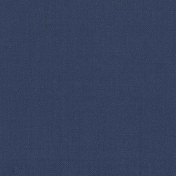 [319159] BLUE, PLAIN (DR# 61059)