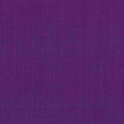 [319207] PURPLE,PLAIN (DR# 14007)