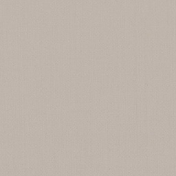 [319220] BEIGE, PLAIN (DR# 14020)