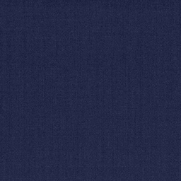 [319241] BLUE, PLAIN (DR# 14041)