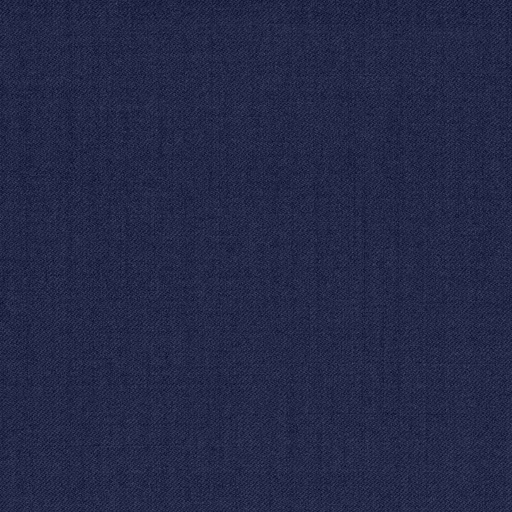 [319241] BLUE, PLAIN (DR# 14041)
