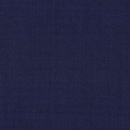 [319242] BLUE, PLAIN (DR# 14042)