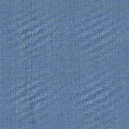 [319246] BLUE, PLAIN (DR# 14046)