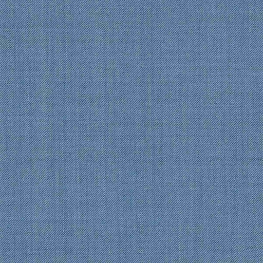 [319246] BLUE, PLAIN (DR# 14046)