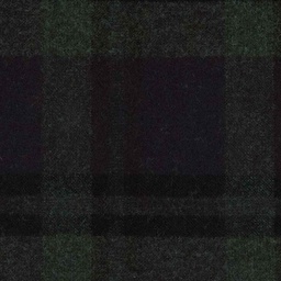[319304] BLUE,GREEN CHECKS