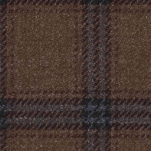 [319321] BROWN,BLUE CHECKS