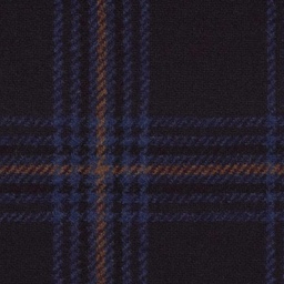 [319338] DARK BLUE, CHECKS