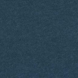 [319383] BLUE, PLAIN (DR# 90383)