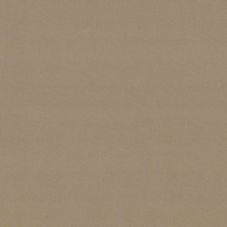 [319402] BEIGE,PLAIN (DR# 259002)