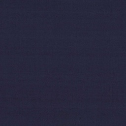 [319407] BLUE,PLAIN (DR# 259007)
