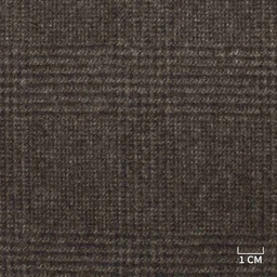 [353403] BROWN, CHECKS