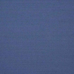[227719] BLUE, PLAIN