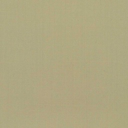 [227741] TAN, PLAIN