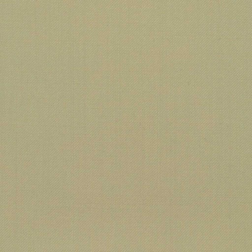 [227741] TAN, PLAIN