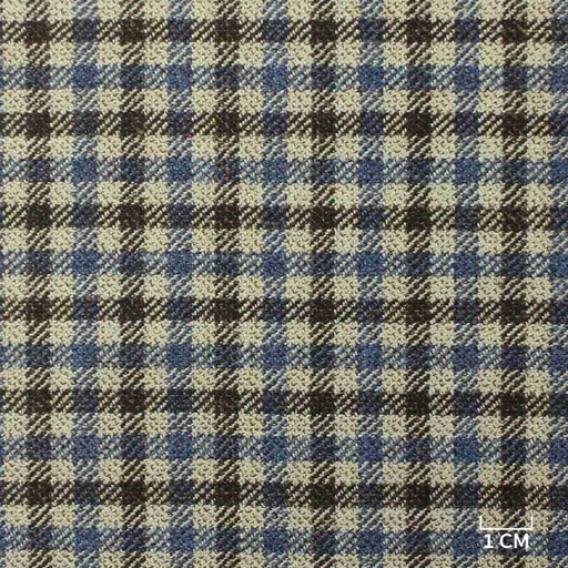 [823010] BLUE, BROWN CHECKS