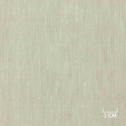 [823027] OFF WHITE, PLAIN