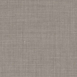 [319624] LIGHT BROWN, PLAIN (DR# 50424)