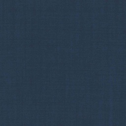 [319805] BLUE, PLAIN (DR# 15105)