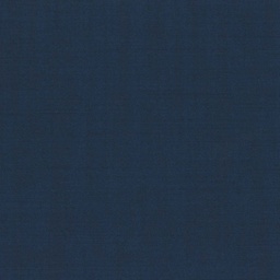 [319806] BLUE, PLAIN (DR# 15106)