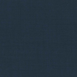 [319833] BLUE, PLAIN (DR# 15133)