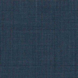 [319905] BLUE, BIG CHECKS (DR# 17005)