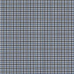 [319909] BLUE, BLACK CHECKS (DR# 17009)