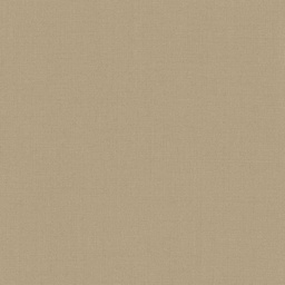 [319951] TAN, PLAIN (DR# 17052)