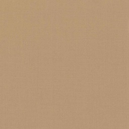 [319954] TAN, PLAIN (DR# 17055)