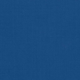 [319962] BLUE, PLAIN (DR# 17063)