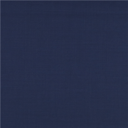 [610007] BLUE,PLAIN (101/07)