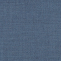 [610012] BLUE,PLAIN (101/12)