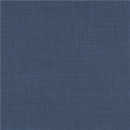 [610013] BLUE,PLAIN (101/13)