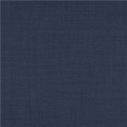 [610014] BLUE,PLAIN (101/14)