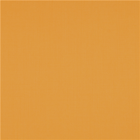 [610060] YELLOW,PLAIN (101/60)